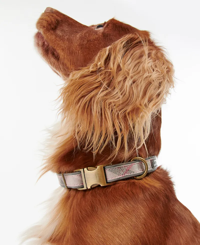 Barbour Reflective Dog Collar in Pink Tartan-1